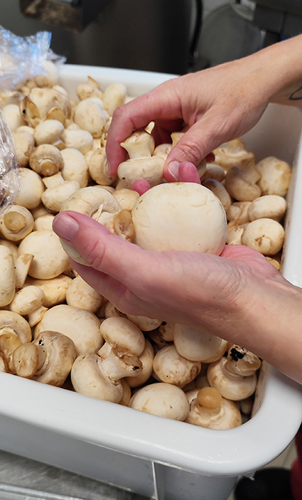 Déoucpe de champignons frais